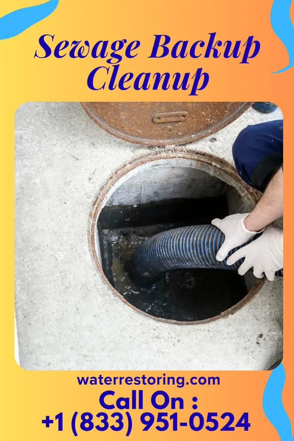 Sewage Backup Cleanup in Roscoe, IL